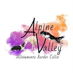 Alpinevalley Kennel