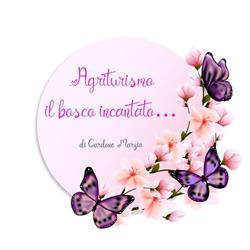 Il bosco incantato