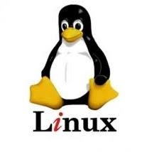 Il Genio del Computer