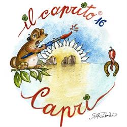 Ilcaprito16