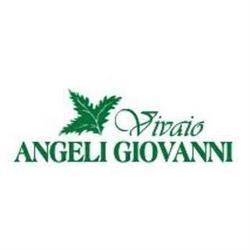 Vivaio Angeli