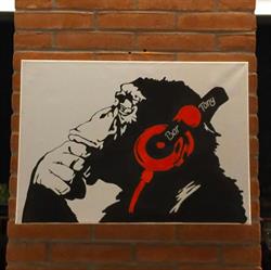 Bar Tony