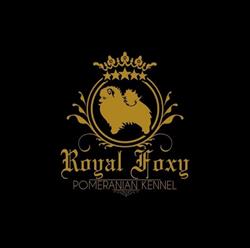 Royal Foxy Pomeranian Kennel