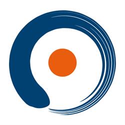 Open kinesiologia e postura