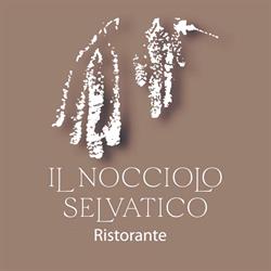 Il Nocciolo Selvatico Ristorante a Sieti SA