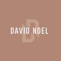 David Noel Sacile