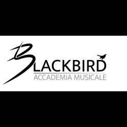 Blackbird_accademiamusicale