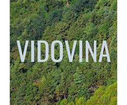 Vidovina