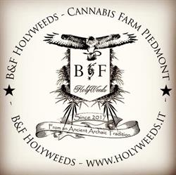 B&F Holyweeds Seeds