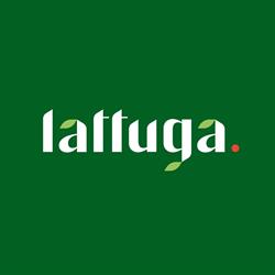 Lattuga