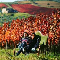Cantina di Villa Mongalli