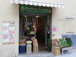 Andrea Frutta