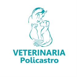 Veterinaria Policastro