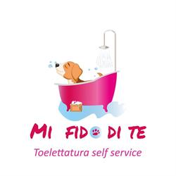 Mi fido di te