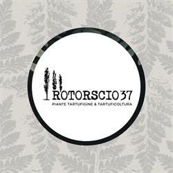 Rotorscio37