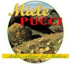 Miele Pucci
