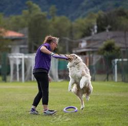 3bmydog asd