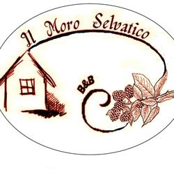Il Moro Selvatico B&B