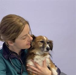 Ambulatorio Veterinario Pavese