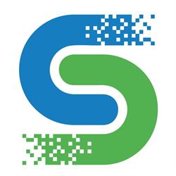 DS Digital Services
