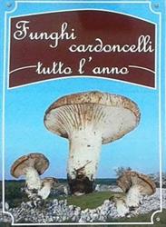 Funghi cardoncelli tutto l'anno