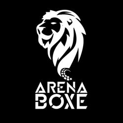 Arena Boxe