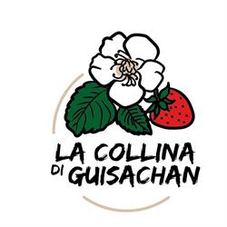 La Collina di Guisachan