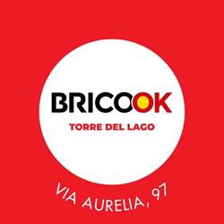 Brico Ok Torre del Lago
