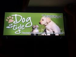 DOG STYLE