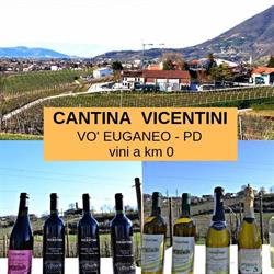 Cantina Vicentini di Vò Euganeo