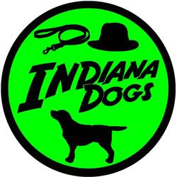 Indiana Dogs