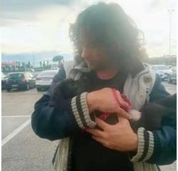 Centro di Psicologia Canina Wolf Soul