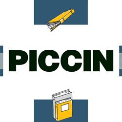 Edizioni Piccin sede Chieti