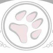 Grooming Art Toelettatura
