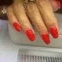 Gallery Professionale