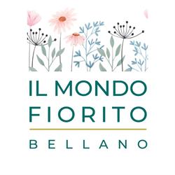 Il mondo fiorito