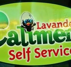 Lavanderia self service Calimero