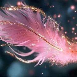 Pink Angel Fashion