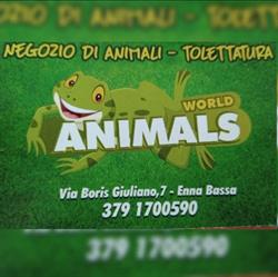 Animals world