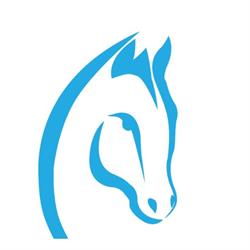 Macelleria Equina Civa Moris