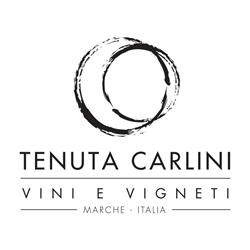 Tenuta Carlini - Vigneto e Punto ristoro