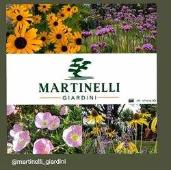 Martinelli Giardini