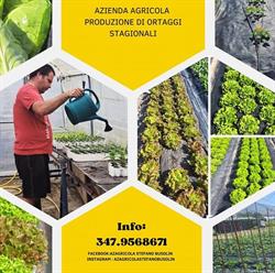 Az Agricola Stefano Busolin