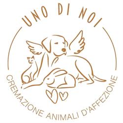 UNO DI NOI