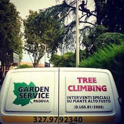 Tree Climbing Service-Arboricoltura Ornamentale