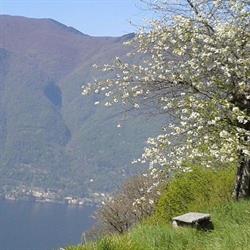 Cascina Teresina