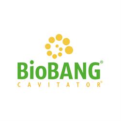 BioBANG