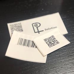 L.p. Solution di Pettenò Laura