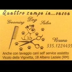 Quattro zampe in vasca