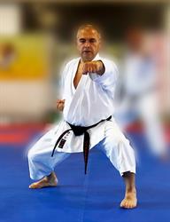 Shingitai Scuola di Karate Tradizionale Sh?t?kan